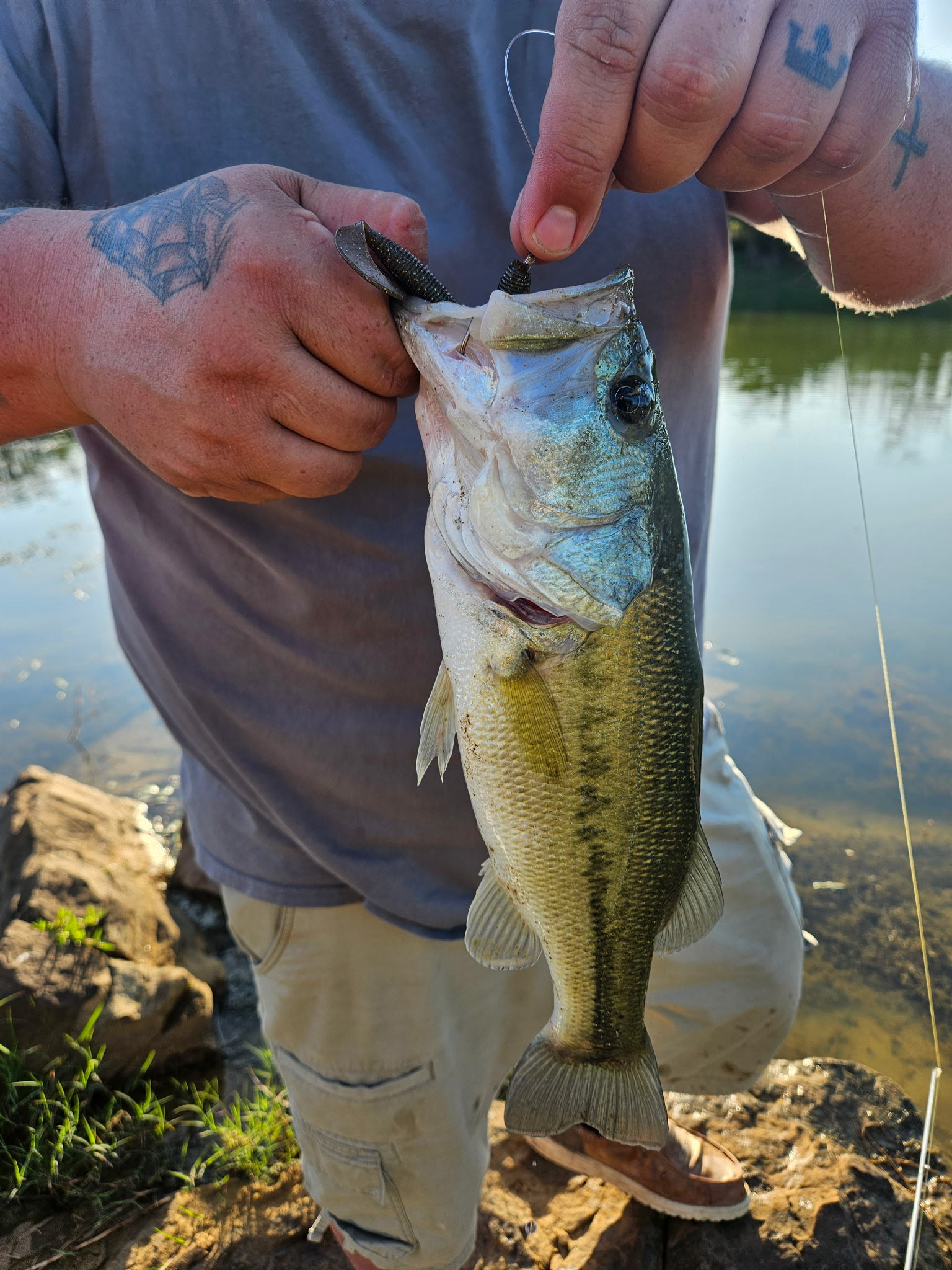 Bass