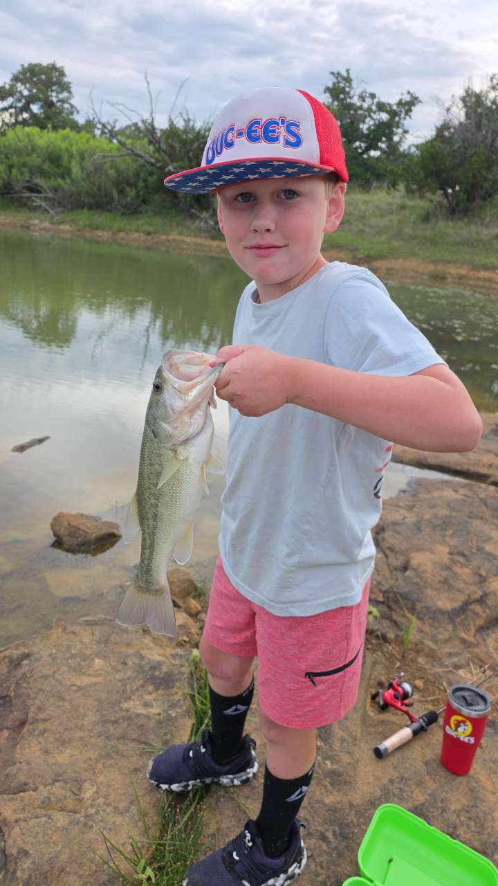 Bass